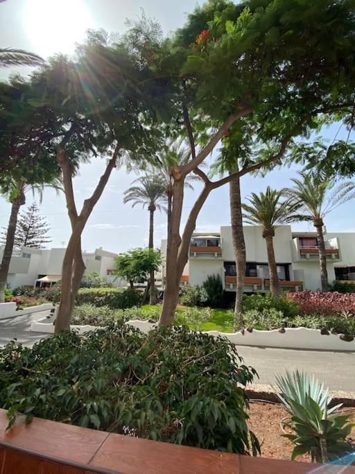 Apartamento Deniz Sur - Ten Bel 阿罗纳 外观 照片